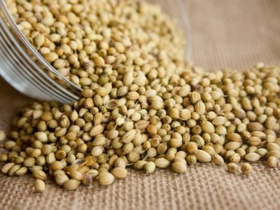 Coriander