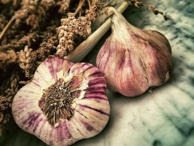 Garlic